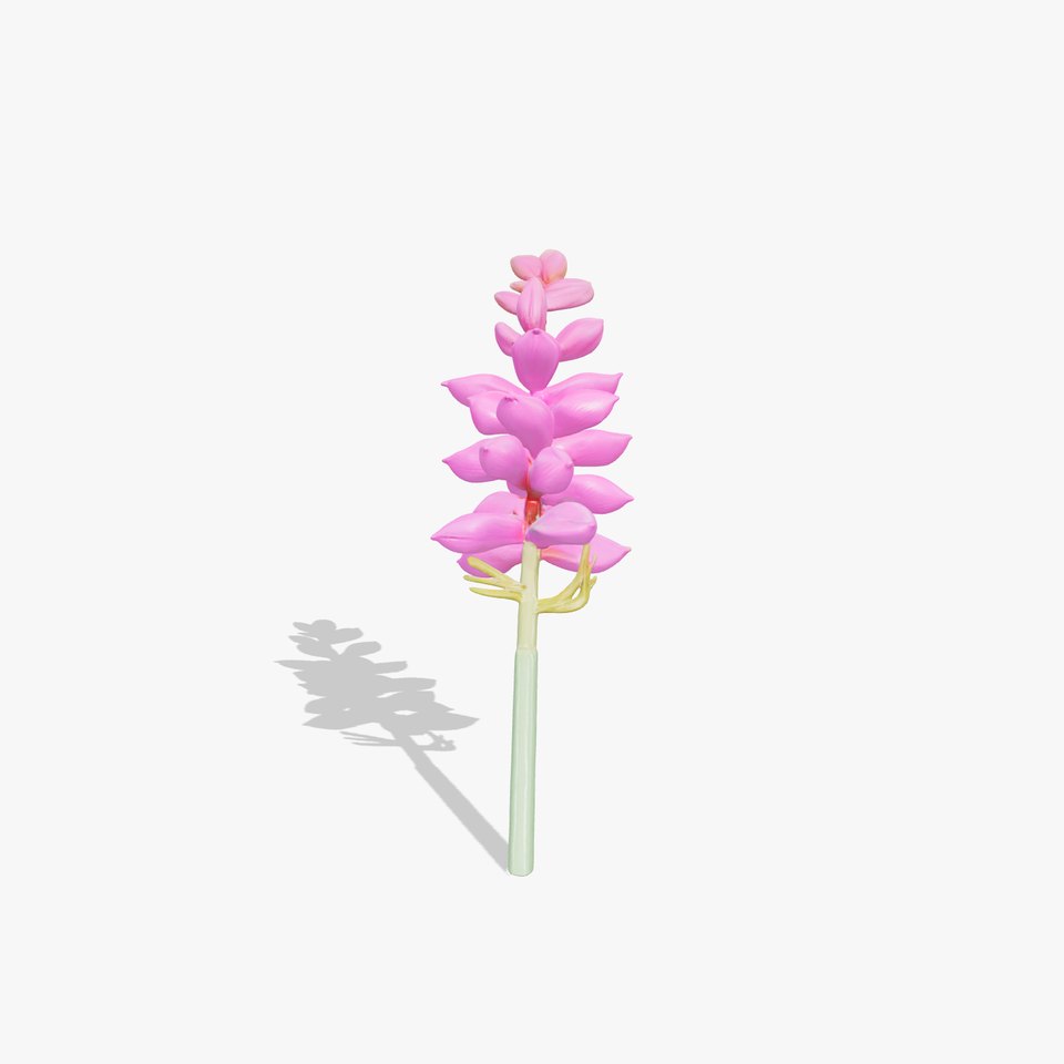 Spear Gladiolus Elegant Flora model pack